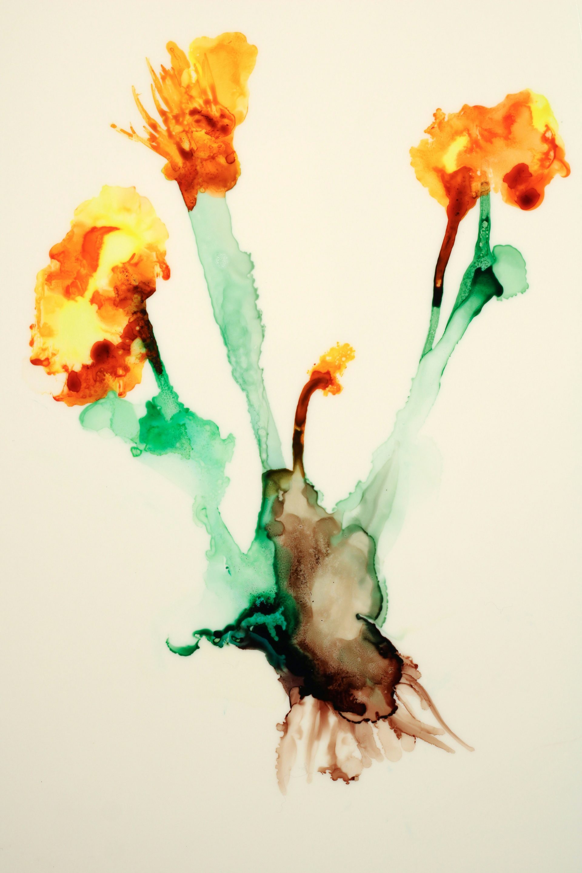 a painting of three orange flowers on a white background